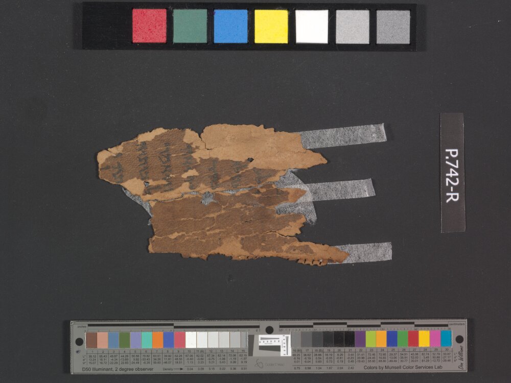 2Q Deuteronomy c showing Deuteronomy 10:9 from Early to Mid-1st Century AD found in Qumran, Cave 2, currently housed at Rockefeller Museum, Jerusalem